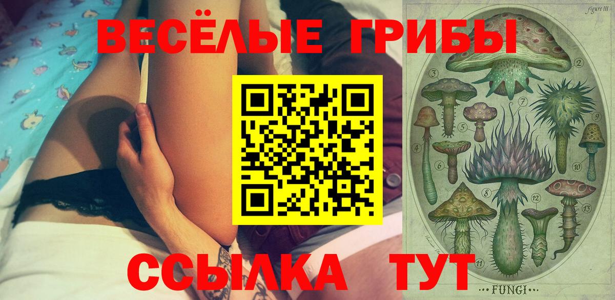 Калининград  Галлюциногенные грибы Magic Shrooms  Вход с VPN 
